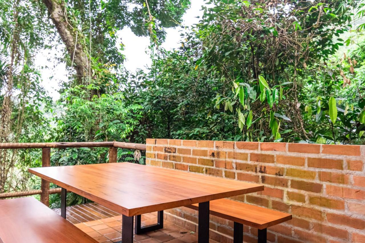 Apartment Lotus Loft 02: Refuge In The Middle Of Nature At Felix' Beach, 100Mbps Internet + Smart Tv, Full Kitchen And Barbecue Just 500 Meters From The Beach Ubatuba